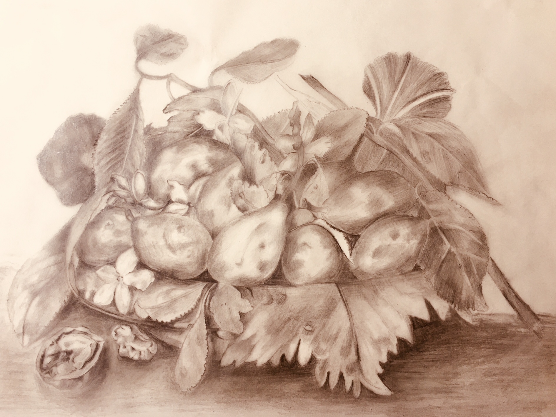 1890x1418 course of ornate drawing barbara maldini, decorazione - Ornate Drawing