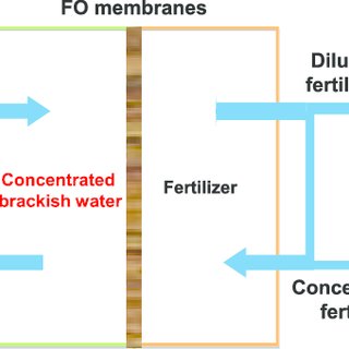 320x320 pdf draw solution in forward osmosis process development - Osmosis Drawing