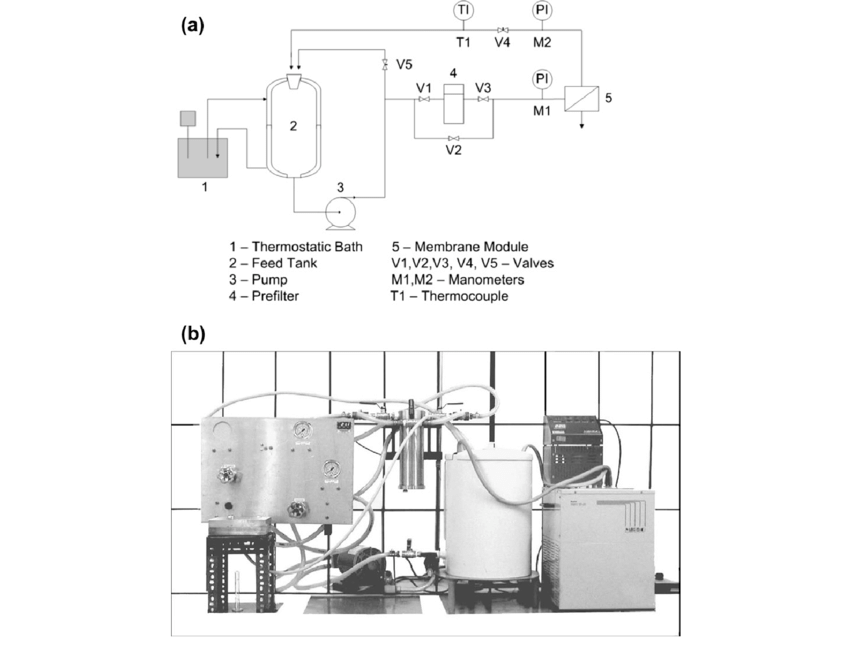 850x645 A Schematic Drawing Of The Reverse Osmosis System - Osmosis Drawing
