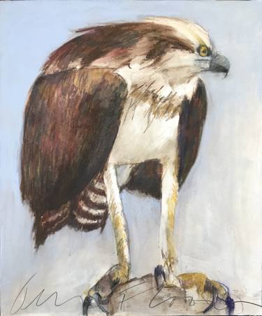 375x452 Standing Osprey Drawing - Osprey Drawing