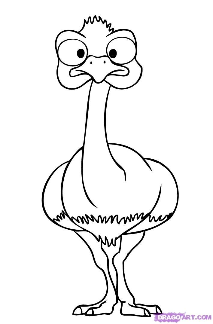 709x1078 How To Draw An Ostrich, Step - Ostrich Drawing