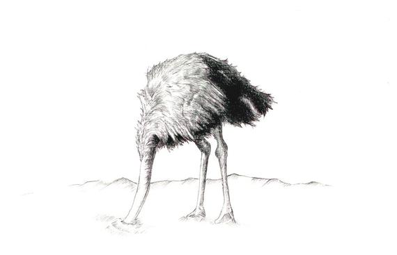 570x367 Ostrich Head In Sand Print Digital Print Of An Original Etsy - Ostrich Drawing
