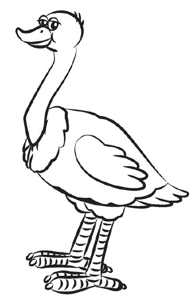 400x612 trace with a pen - Ostrich Drawing