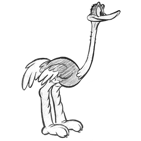 450x450 How To Draw Cartoon Ostriches With Easy Step - Ostrich Drawing