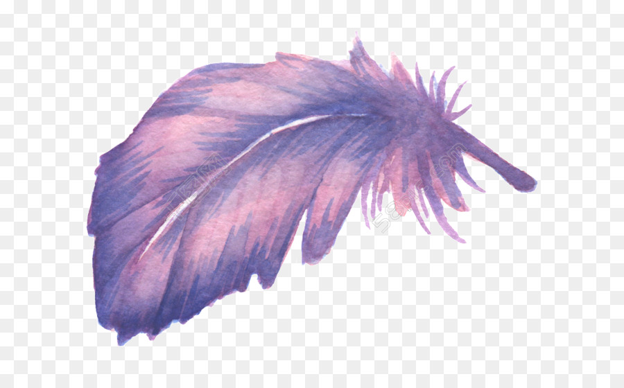 900x560 black ostrich feathers - Ostrich Feather Drawing