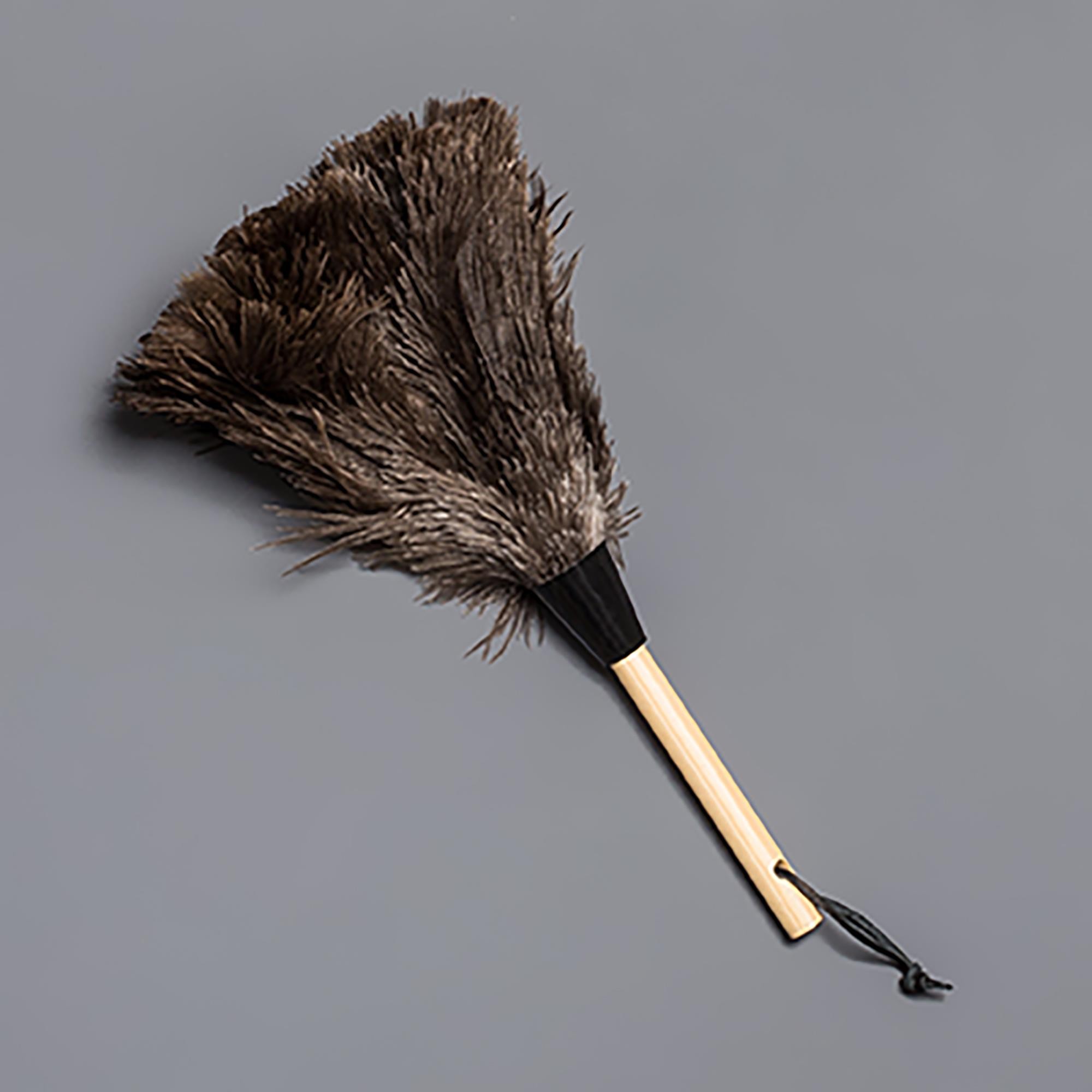 2000x2000 casabella wayclean ostrich feather duster - Ostrich Feather Drawing