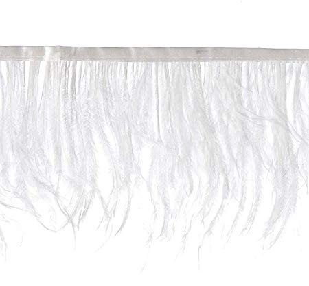 450x416 hand ostrich feather fringe meters - Ostrich Feather Drawing
