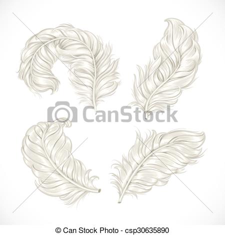 450x470 large fluffy lush ostrich feathers isolated on white background - Ostrich Feather Drawing