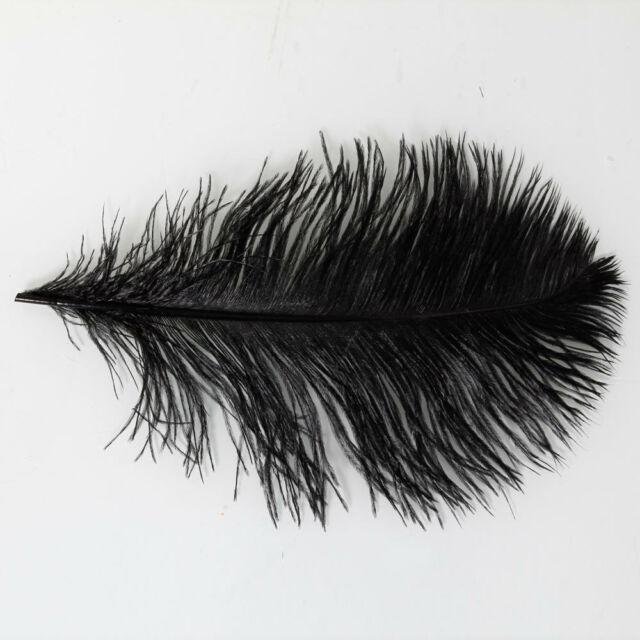 640x640 pcs wholesale quality natural ostrich feathers white - Ostrich Feather Drawing