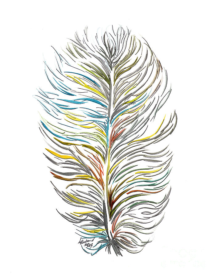 707x900 Ostrich Feather Drawing - Ostrich Feather Drawing