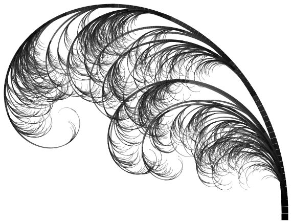 571x438 Ostrich Feather Drawing - Ostrich Feather Drawing