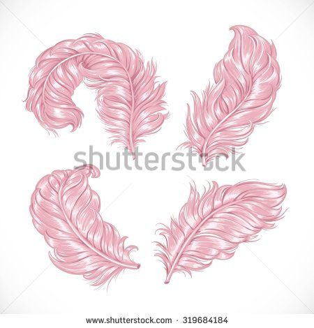 450x470 ostrich feathers stock vectors vector clip art shutterstock - Ostrich Feather Drawing