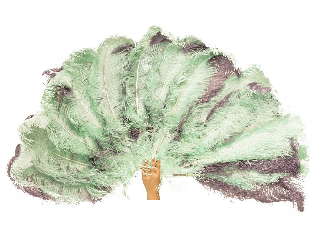 1024x768 ultimate burlesque ostrich feather fan - Ostrich Feather Drawing