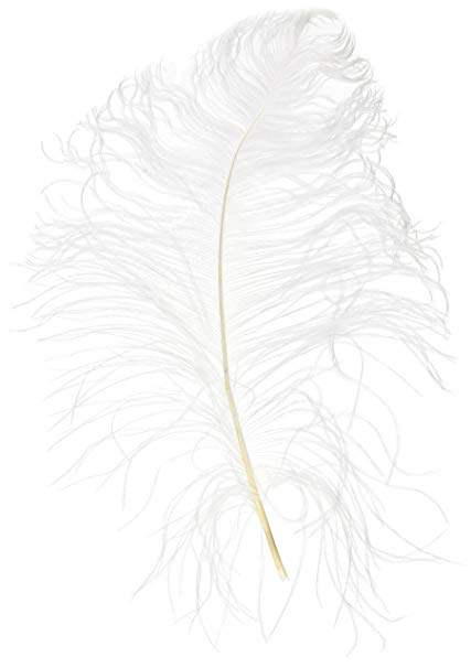 427x606 firefly imports homeford decorative ostrich feather - Ostrich Feather Drawing