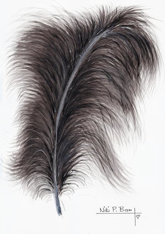 562x799 Black Ostrich Feather Art Print - Ostrich Feather Drawing