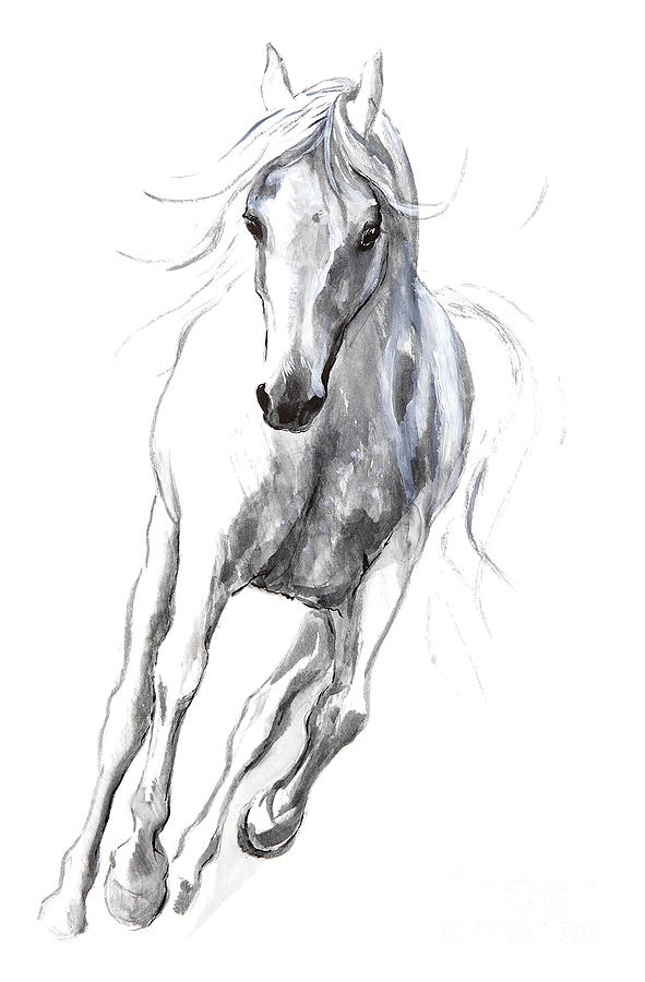 591x900 Othello Drawing - Othello Drawing