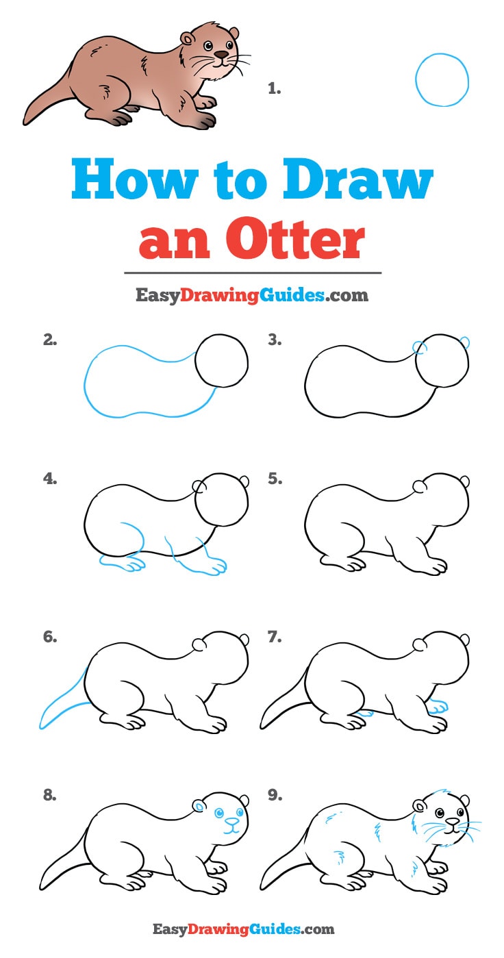 736x1399 How To Draw An Otter - Otter Outline Drawing