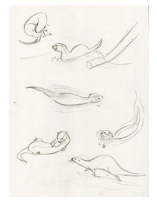 309x400 Huge Collection Of 'otter Outline Drawing' Download More Than - Otter Outline Drawing