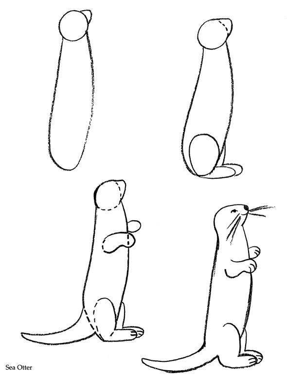590x770 Otter Easy Draw Transparent Png Clipart Free Download - Otter Outline Drawing
