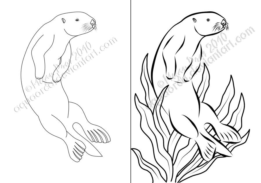 900x630 Otter Drawing Free Download - Otter Outline Drawing