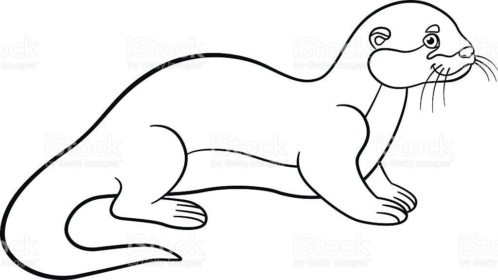 download-sea-otter-coloring-for-free-designlooter-2020