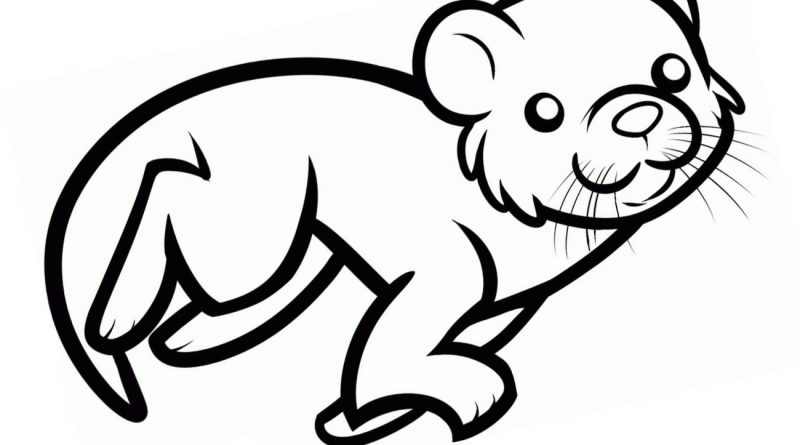 800x445 Animals Clipart - Otter Outline Drawing