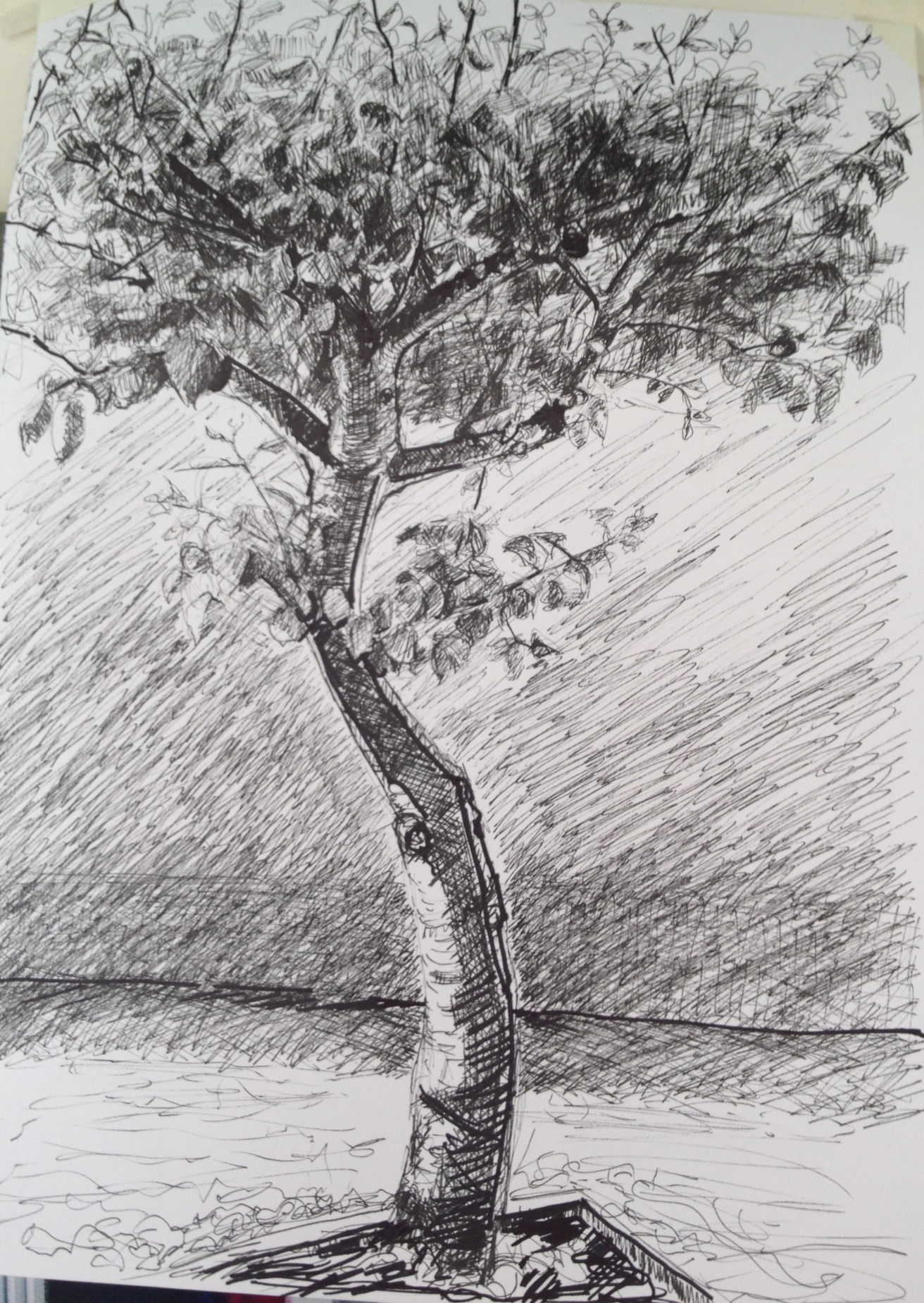 1312x1850 exercises part drawing outdoors ba - Outdoor Drawing