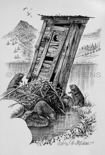 341x500 Pencil Drawing, Western Art, Fine Art, Print, Outhouse Drawing - Outhouse Drawing