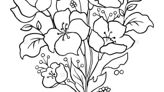 570x320 Flower Outline Drawing Outline Drawing Of Flowers Flower Drawing - Outline Drawing