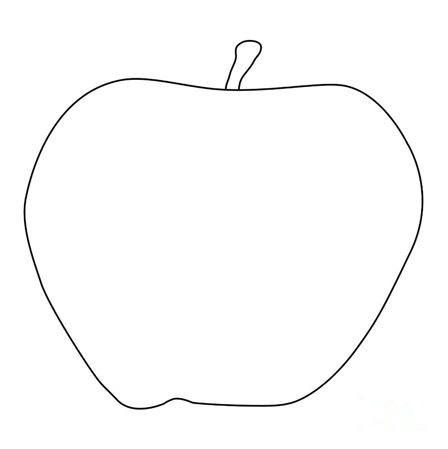 898x900 Apple Outline Drawing Digital Art - Outline Drawing