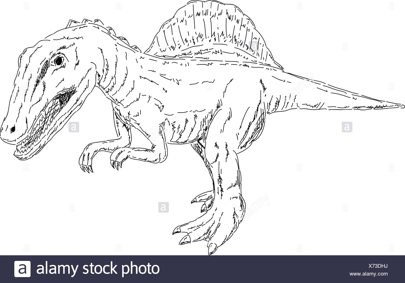 1300x909 Colour Illustration Paint Dinosaur Outline Draw Line Cartoon - Outline Drawing For Colouring