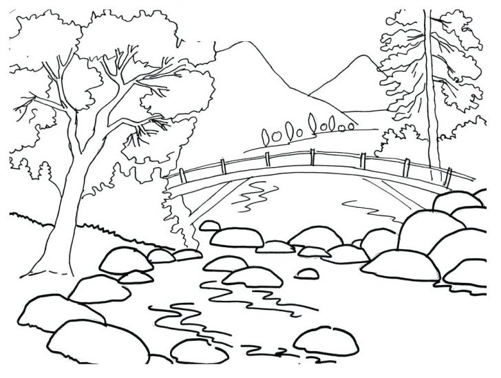 Download Outline Drawing For Colouring at PaintingValley.com ...