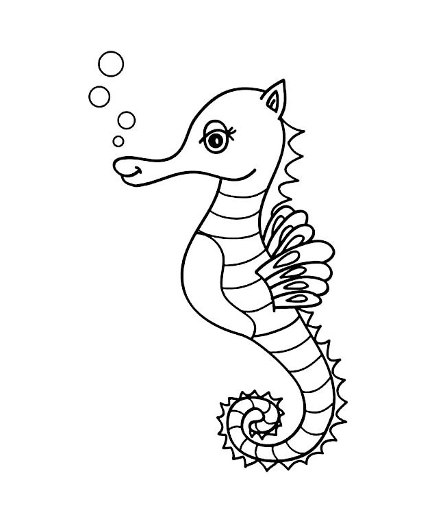 650x777 seahorse shape templates crafts colouring pages free seahorse - Outline Drawing For Colouring