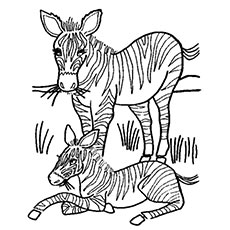 230x230 Top Free Printable Wild Animals Coloring Pages Online - Outline Drawing For Colouring