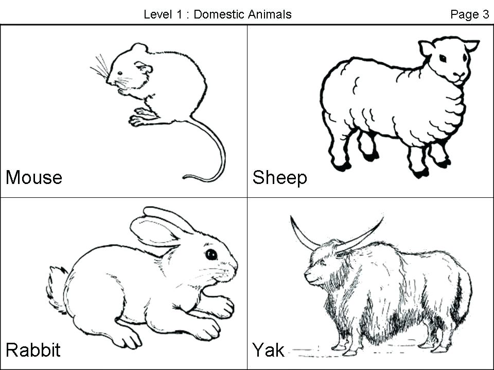 960x720 Animal Outline Colouring Pages Coloring Sheets Farm Outlines - Outline Drawing For Colouring