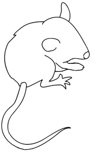 350x531 How To Draw A Mouse For Kids - Outline Drawing For Kids