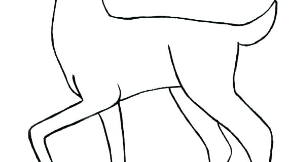 570x320 Collection Of Drawing Outlines Of Animals Download Them And Try - Outline Drawing Of Animals