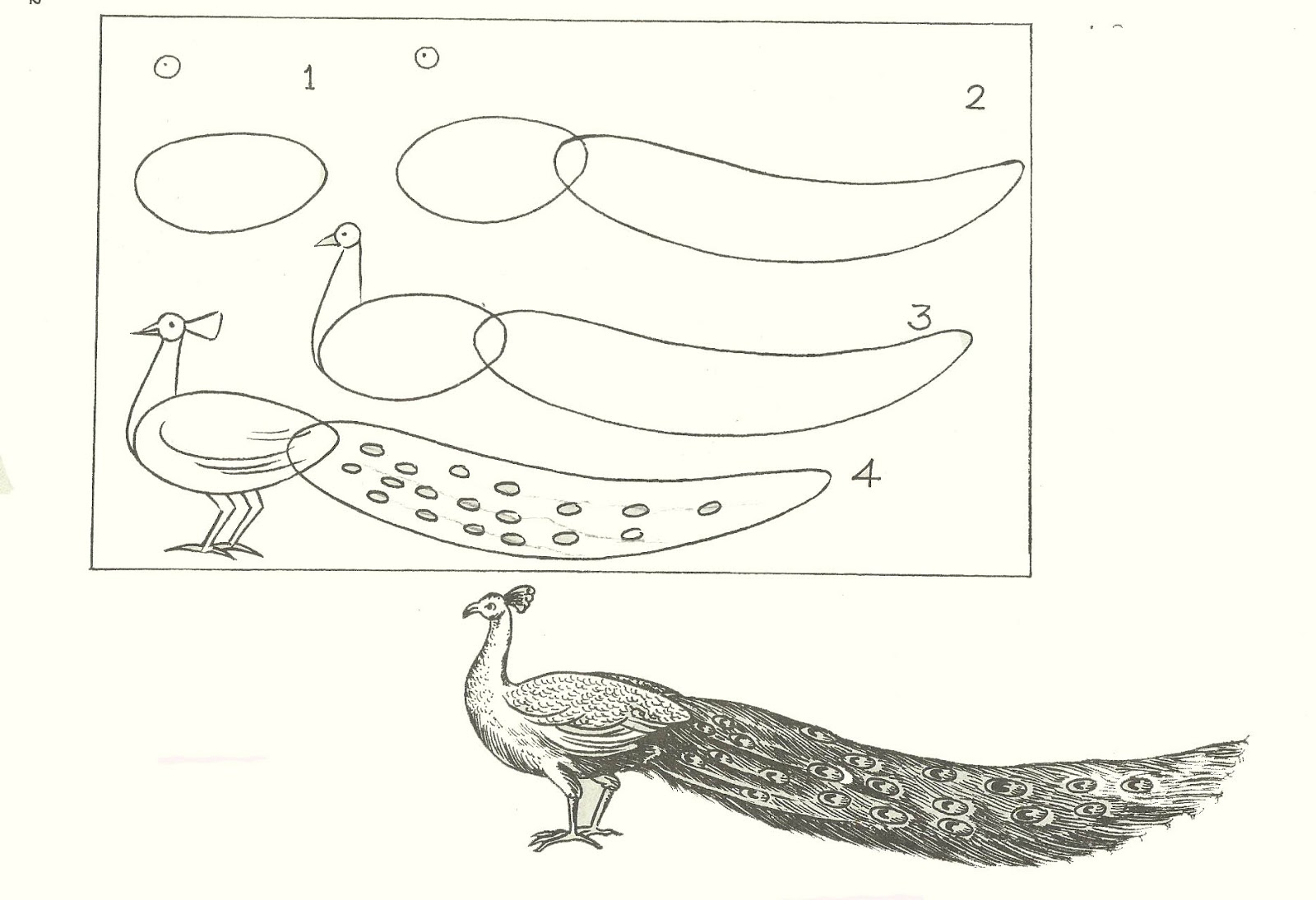 1600x1094 Drawing Animals In Step - Outline Drawing Of Animals