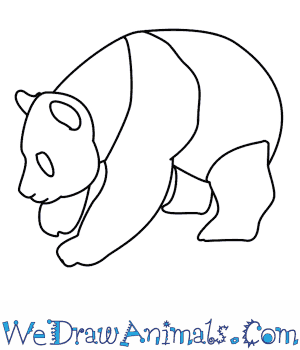 300x350 How To Draw A Panda - Outline Drawing Of Animals