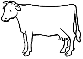 Outline Drawing Of Animals at PaintingValley.com | Explore collection ...