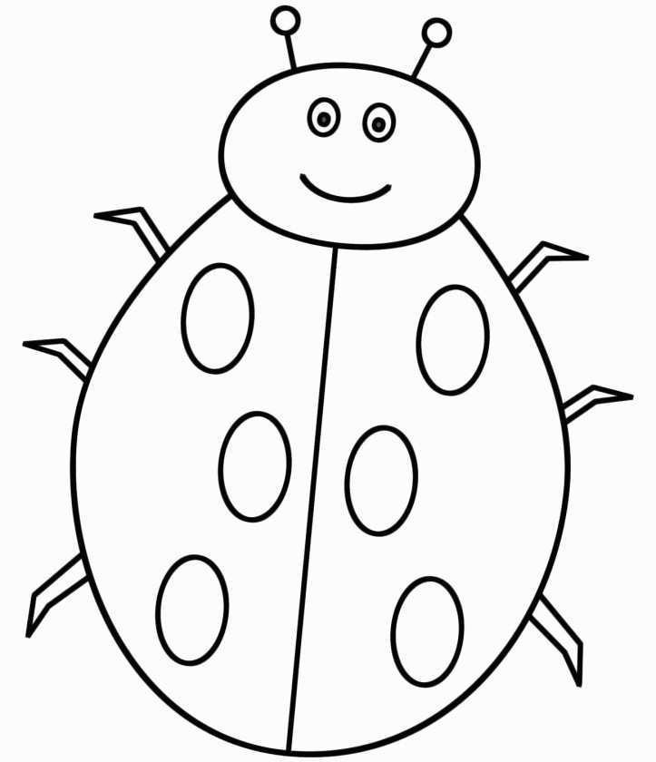 723x840 ladybug coloring pages for preschoolers inspirational best image - Outline Drawing Of Animals