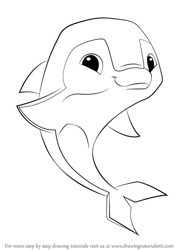 598x844 Learn How To Draw Dolphin From Animal Jam - Outline Drawing Of Animals