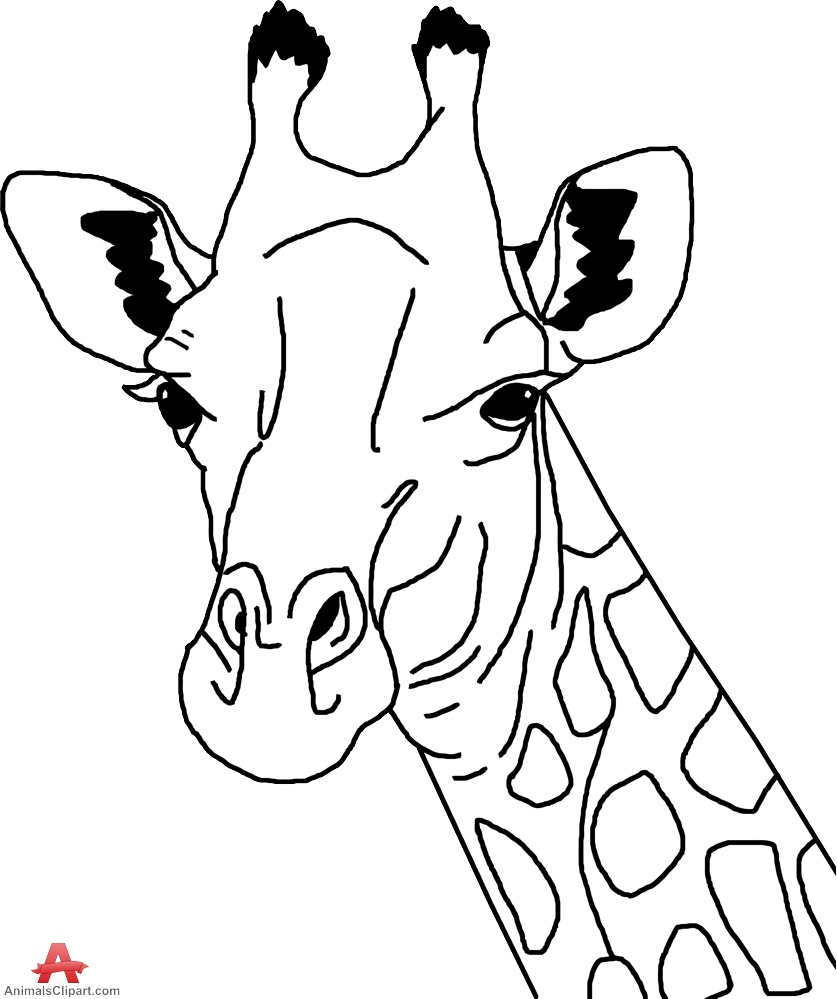 837x999 Animal Head Outline Giraff Clip Art - Outline Drawing Of Animals