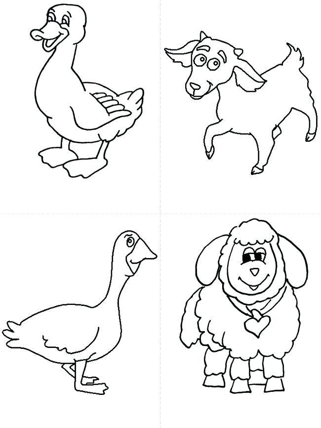 650x866 farm animals drawings karimunjawa club - Outline Drawing Of Animals