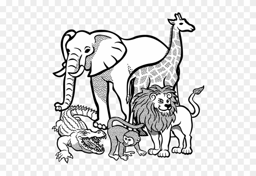 840x577 Animals Outline Drawing - Outline Drawing Of Animals