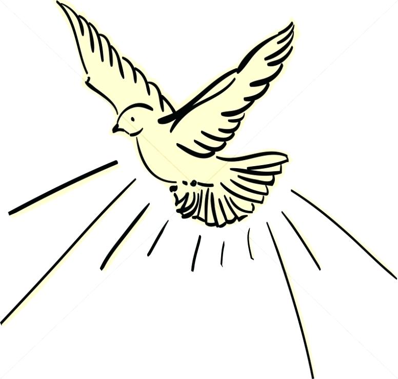 776x739 Dove Outline Drawing Doves Coloring Pages Coloring Pages Pencil - Outline Drawing Online