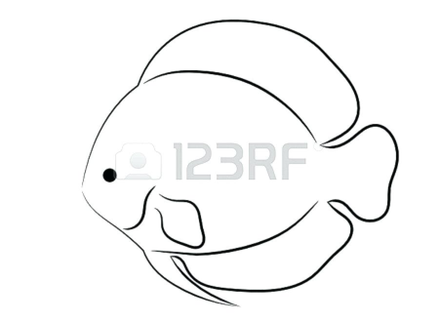 900x660 fish outline clipart jumping bass vector starfish clipart outline - Outline Of Fish Drawing