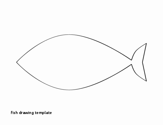 650x500 fish outline drawing new new fish drawing template collections - Outline Of Fish Drawing