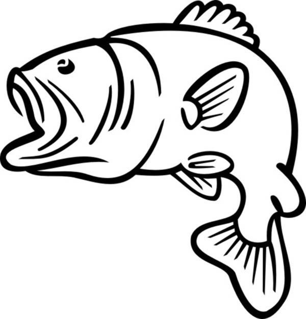 600x626 Outline Drawings Of Fish Group With Items - Outline Of Fish Drawing
