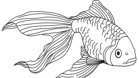 570x320 decorative fish drawing with abstract ornaments hand drawn doodle - Outline Of Fish Drawing
